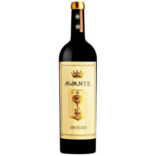 Bodegas Ordonez Avante Ribera del Duero 2014 - 750ml
