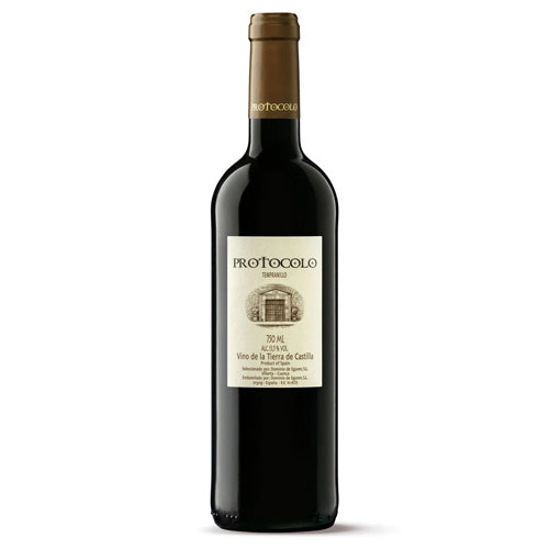 Dominio de Eguren Protocolo Tinto 2019 - 750ml